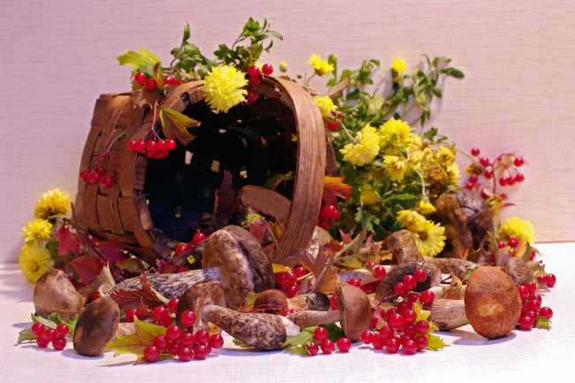 Обои картинки фото еда, натюрморт, ягоды, цветы, калина, сентябрь, грибы, лето