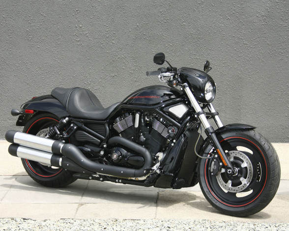 Обои картинки фото harley, davidson, vrscdx, rod, 2008, мотоциклы