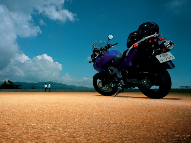 Обои картинки фото suzuki, dl, 650, strom, мотоциклы