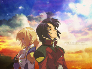 Картинка аниме gundam seed