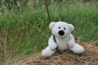 Картинка разное игрушки мишка настроения прогулка трава сено игрушка белый