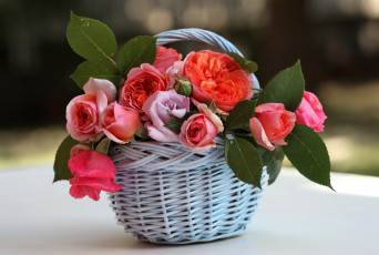 Картинка цветы розы корзинка