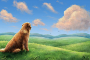 обоя рисованные, животные, собаки, ветер, трава, поле, облака, холмы, птицы, собака