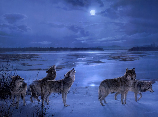 Обои картинки фото рисованные, daniel, smith, лунная, песня, волки