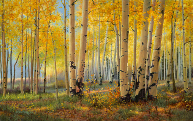 Обои картинки фото pillars, of, gold, рисованные, kay, witherspoon, лес, золотая, осень