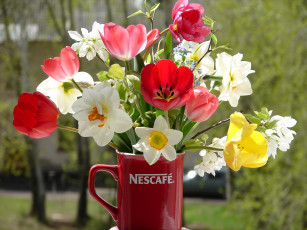 Картинка цветы букеты композиции чашка нарциссы тюльпаны