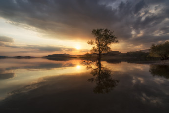 Картинка природа восходы закаты небо дерево озеро