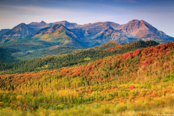 Картинка природа горы осень лес