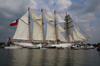 обоя sail amsterdam 2015, корабли, парусники, регата