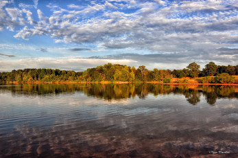 Картинка природа реки озера озеро отражение деревья