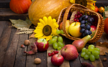 Картинка еда фрукты+и+овощи+вместе autumn harvest still life fruits leaves pumpkin nuts осень дистья урожай тыква