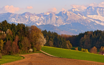 Картинка природа горы деревья поле швейцария switzerland