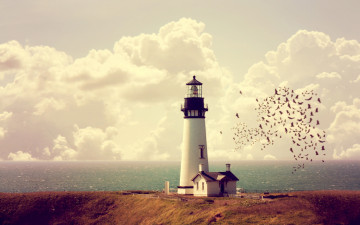 Картинка природа маяки домик маяк побережье море облака горизонт небо стая птиц