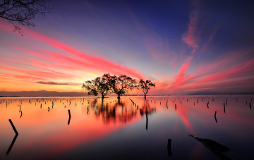 Картинка природа восходы закаты деревья вечер зарево облака небо озеро отражение