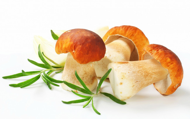 Обои картинки фото еда, грибы,  грибные блюда, боровики, розмарин