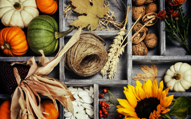 Обои картинки фото еда, разное, harvest, урожай, тыква, овощи, autumn, листья, осень, still, life, vegetables, корзина