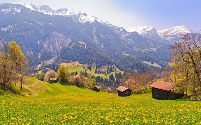 Обои картинки фото природа, горы, switzerland, деревня, склон, деревья, швейцария, поле