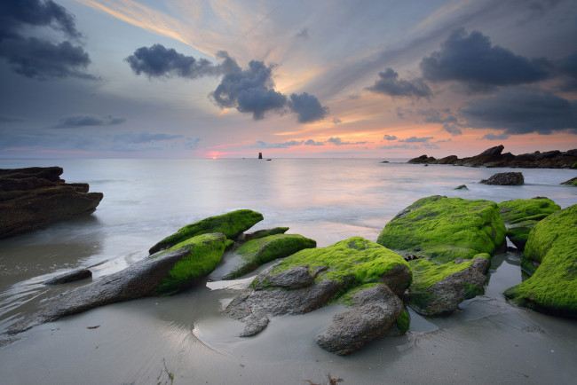 Обои картинки фото природа, побережье, море, закат, тучи, водоросли, камни, небо