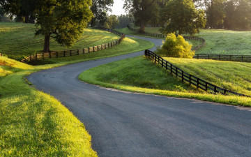 Картинка природа дороги дорога забор зелень деревья участки трава