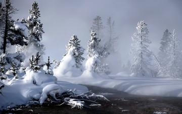 Картинка природа зима снег деревья сугробы