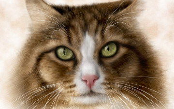 Картинка рисованное животные +коты глаза кот
