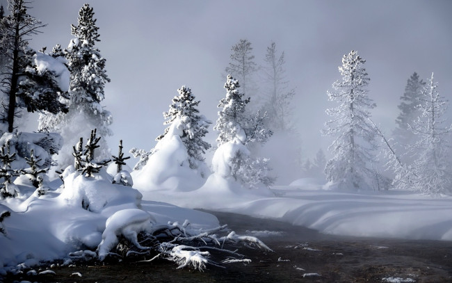 Обои картинки фото природа, зима, снег, деревья, сугробы