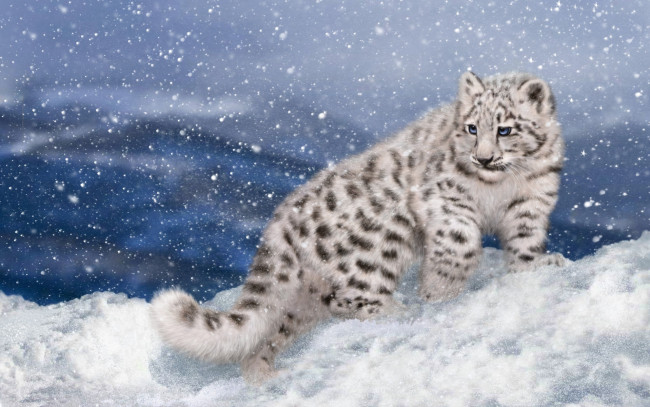 Обои картинки фото рисованное, животные, снег, снежный, барс, котёнок, зима, ирбис