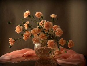 Картинка цветы гвоздики шабо натюрморт фотонатюрморт свет и тени с цветами
