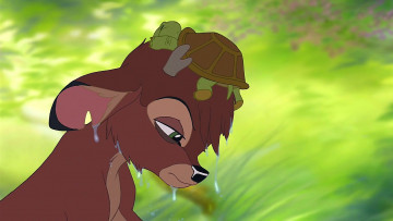 Картинка мультфильмы bambi+2 олененок черепаха морда капли