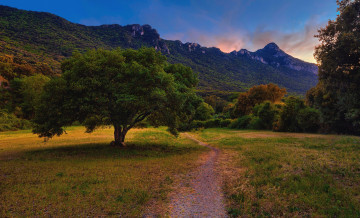 Картинка природа дороги горы поляна тропинка деревья