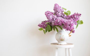 Картинка цветы сирень белый фон табурет букет ваза
