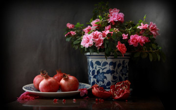 Картинка еда гранат плоды натюрморт гранаты азалия зёрна фрукты кашпо цветок тарелка горшок