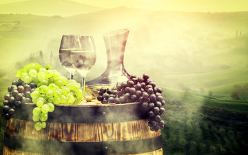 Картинка еда виноград пейзаж кувшин бокалы туман бочка поля луга