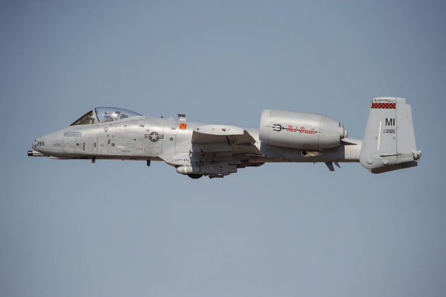 Обои картинки фото a-10 thunderbolt, авиация, боевые самолёты, штурмовик