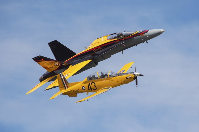 Обои картинки фото cf-18 hornet, авиация, боевые самолёты, истребитель
