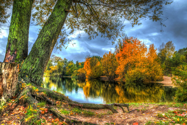 Обои картинки фото природа, реки, озера, листья, лес, деревья, берег, река, осень