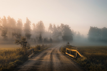 Картинка природа дороги дорога осень туман утро