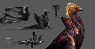 Картинка рисованное животные +сказочные +мифические хищник птица крылья