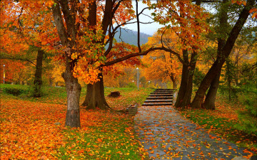 Картинка природа парк trees colors autumn park листва fall деревья осень leaves листопад