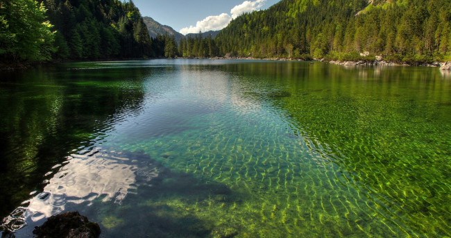 Обои картинки фото природа, реки, озера, река, лес, отражение