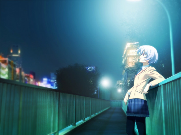 Обои картинки фото аниме, chaos,  head, девочка, мост, город, ночь, огни