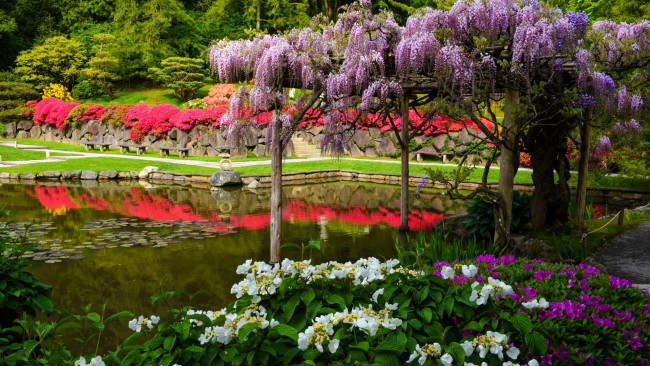 Обои картинки фото seattle japanese garden, washington, природа, парк, seattle, japanese, garden