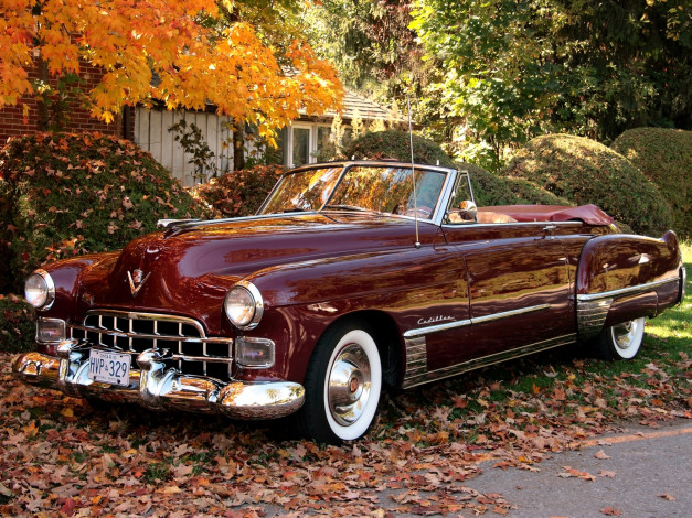 Обои картинки фото cadillac, sixty, two, convertible, `1949, автомобили, осень