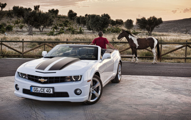 Обои картинки фото 2012, chevrolet, camaro, convertible, автомобили, лошадь