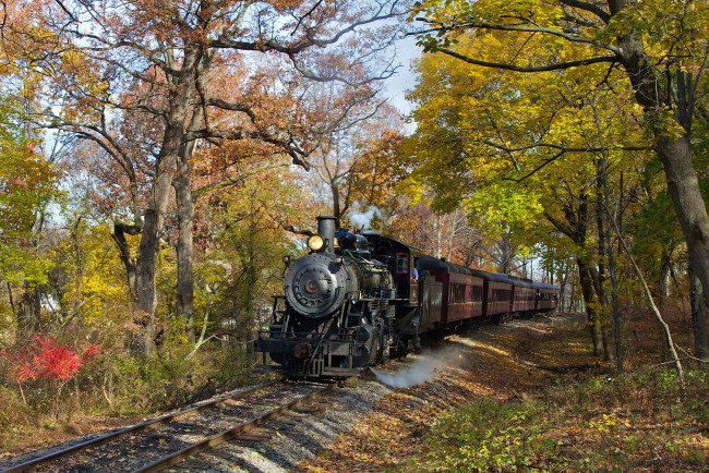 Обои картинки фото техника, паровозы, рельсы, осень, деревья, лес, поезд