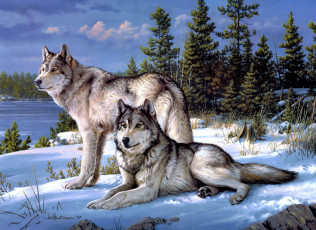 Картинка рисованные joseph hautman волки