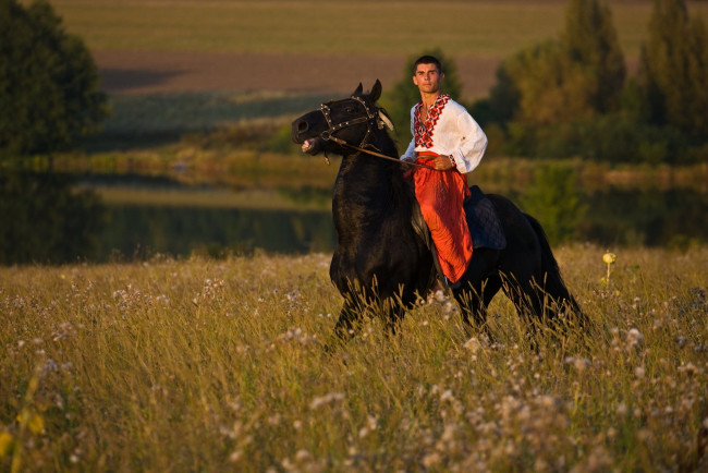 Обои картинки фото мужчины, unsort, луг, конь, хлопец