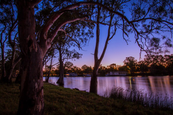 Картинка mildura австралия природа реки озера река деревья сумерки