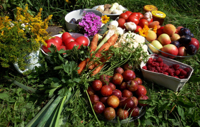 Обои картинки фото еда, фрукты, овощи, вместе, морковь, яблоки, сливы, малина, помидоры