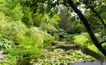 Картинка attadale+gardens++шотландия природа парк кусты деревья река scotland strathcarron gardens attadale